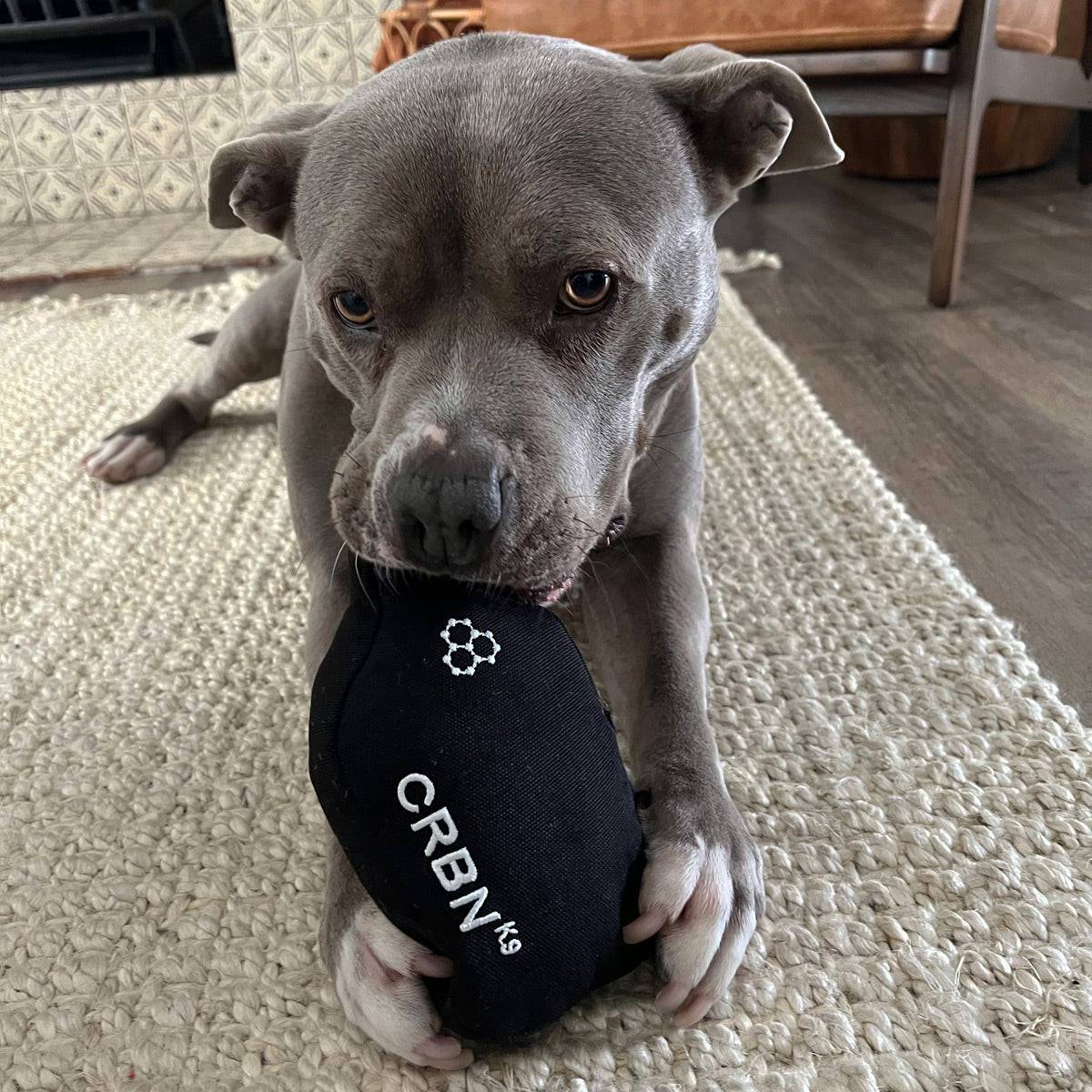 crbn-squeak-dog-toy-pickleball-hundespielzeug image 4
