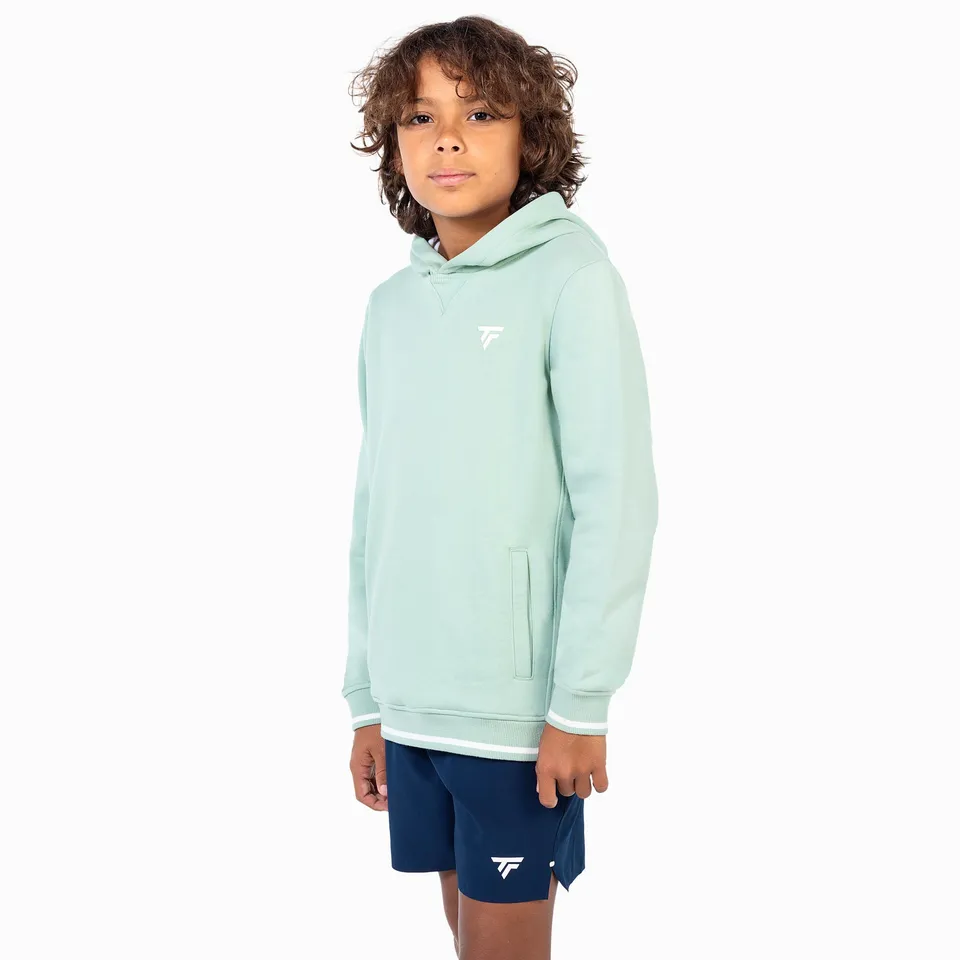 tecnifibre-terry-hoodie-sweatshirt-sage-herren image 1