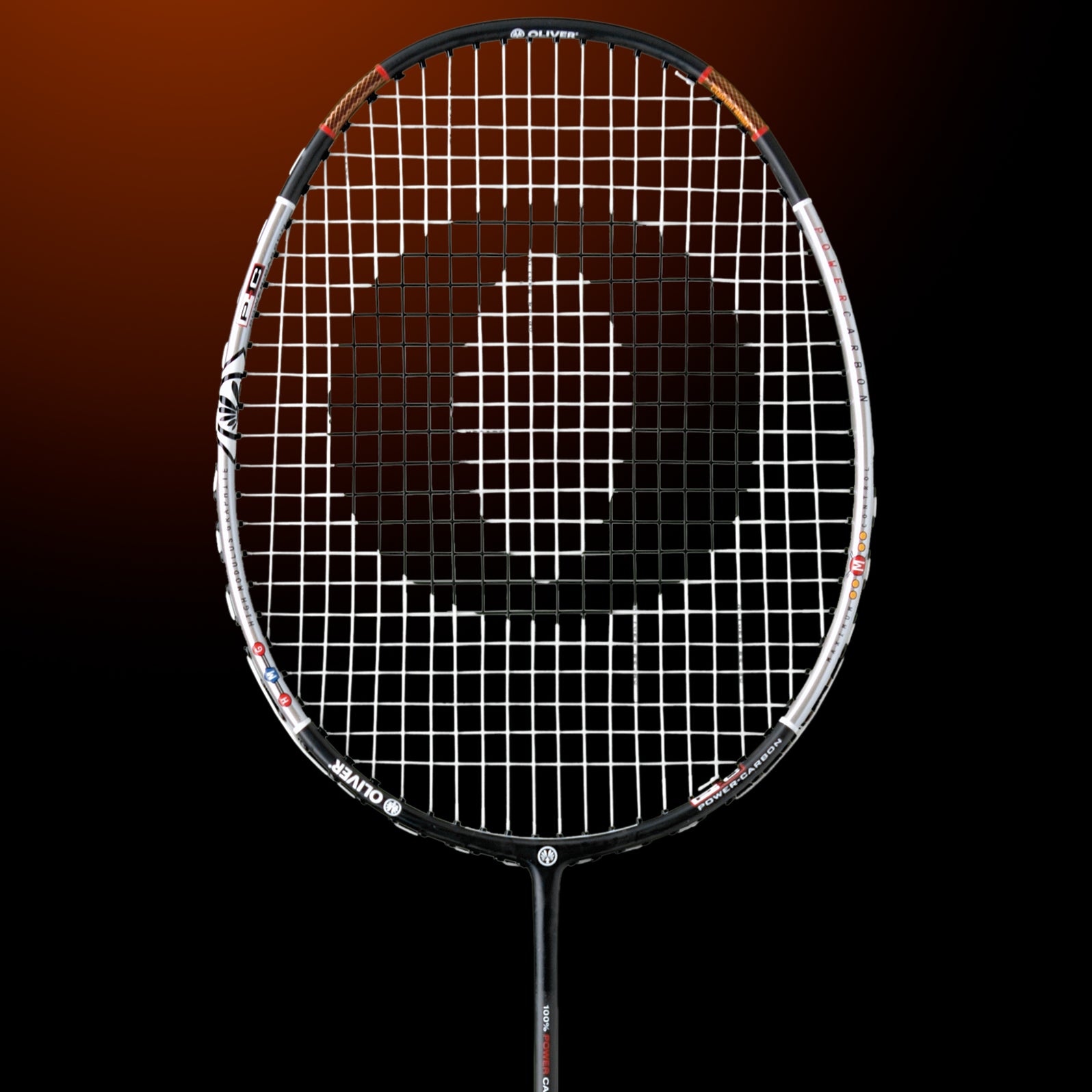 oliver-flexter-pc-badmintonschl-ger-2 image 2