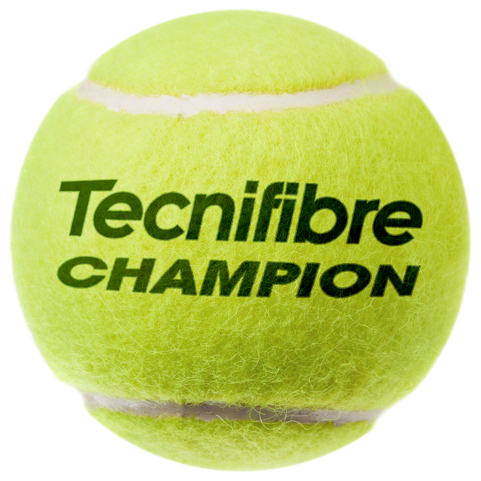 tecnifibre-champion-4er-pack-tennib-lle image 2