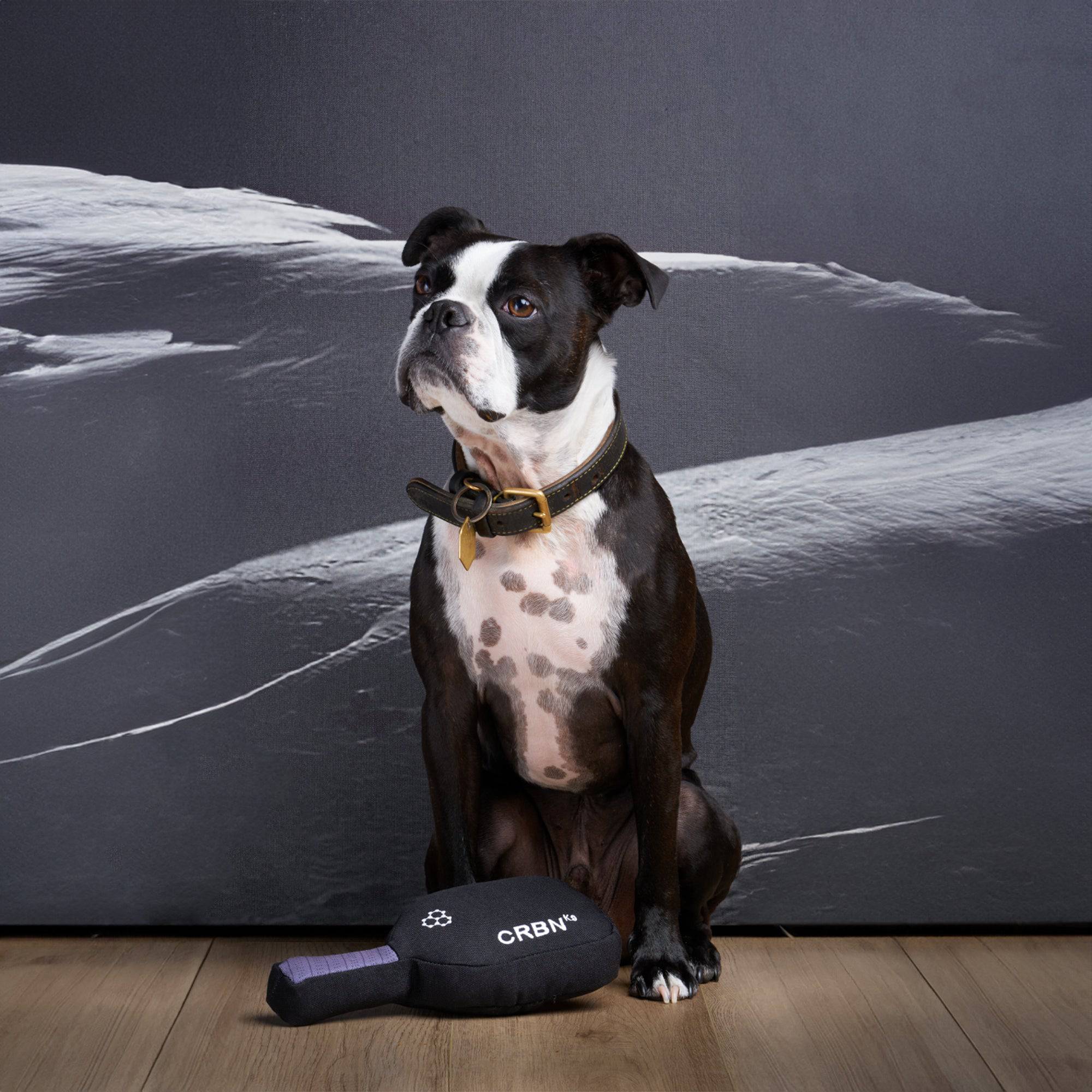 crbn-squeak-dog-toy-pickleball-hundespielzeug image 3